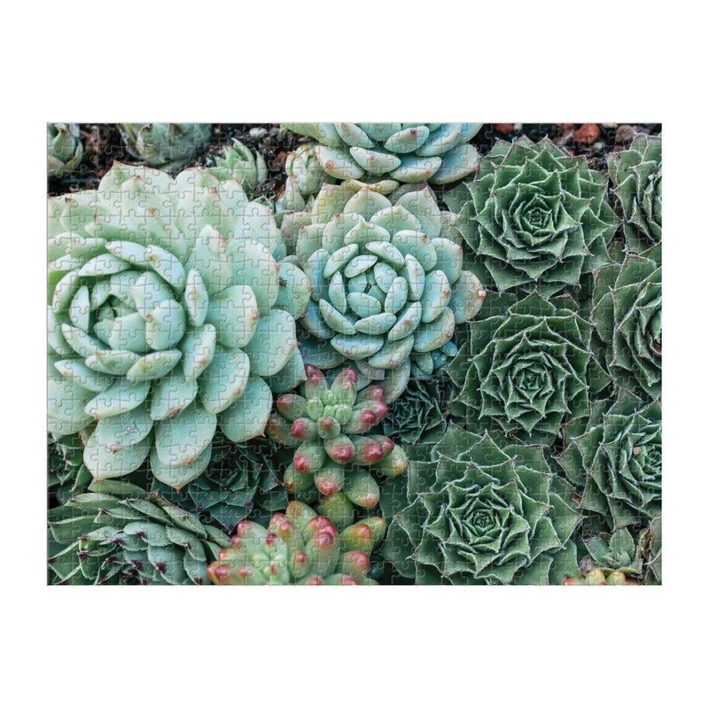 جاليسون أحجية الصور المقطوعة مزدوجة الجوانب من Galison Succulent Garden 500 قطعة للبالغين والعائلات، أحجية عائلية ممتعة مع نباتات وموضوع عصاري متعدد الألوان - Image 2
